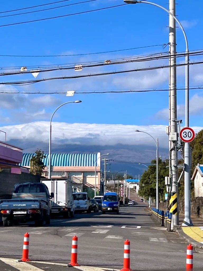 濟州島限速指標 30km