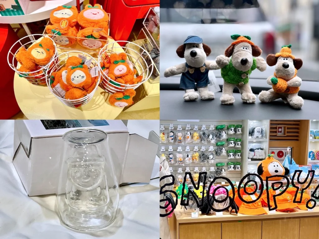 濟州島伴手禮與紀念品