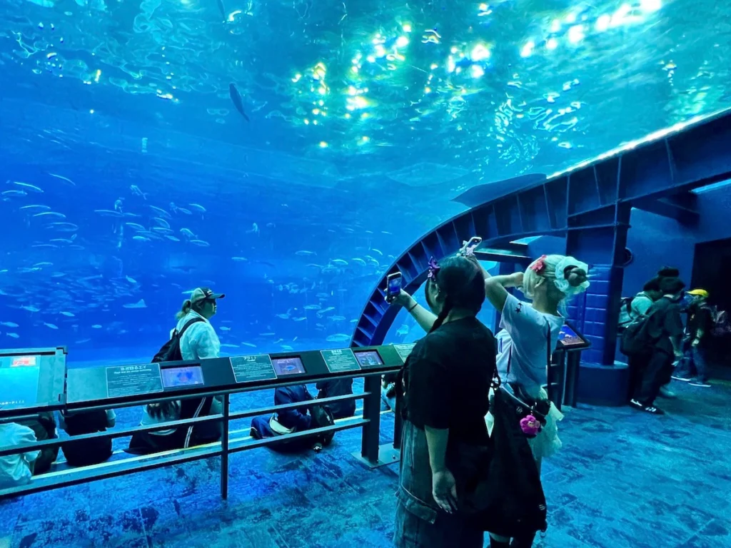沖繩美麗海水族館 海洋觀賞室