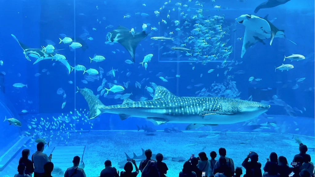 沖繩美麗海水族館