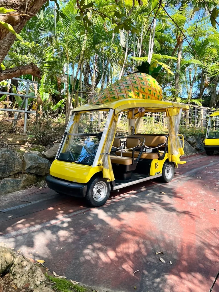 名護鳳梨園 鳳梨車