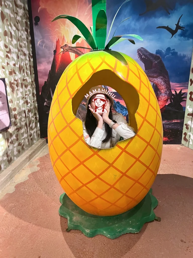 沖繩名護鳳梨園拍照打卡點