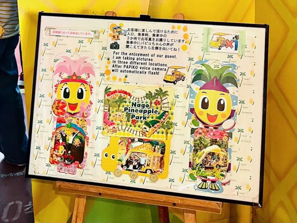 沖繩名護鳳梨園拍照點