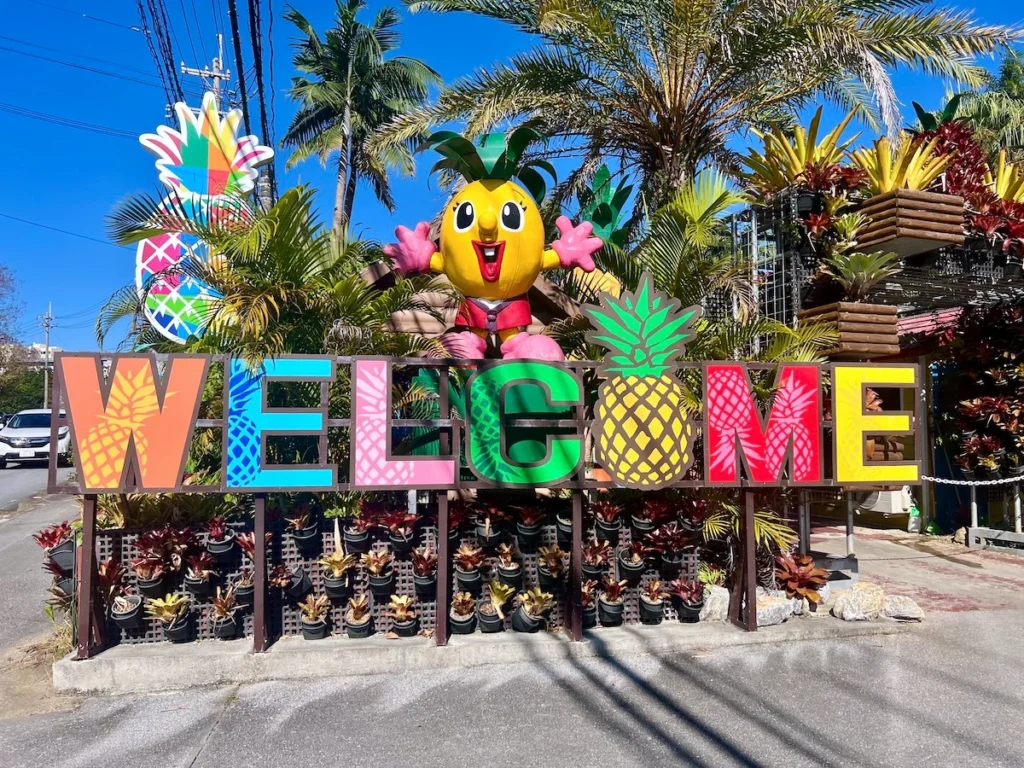 沖繩名護鳳梨園