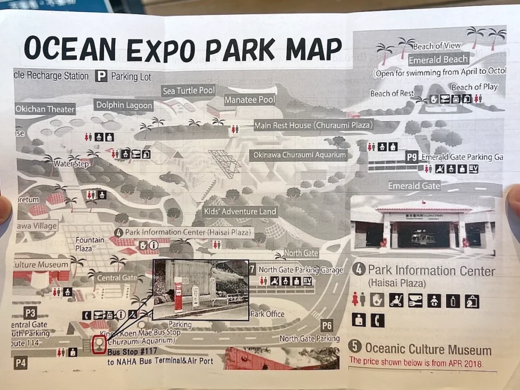 沖繩美麗海水族館地圖 117高速巴士上車位置