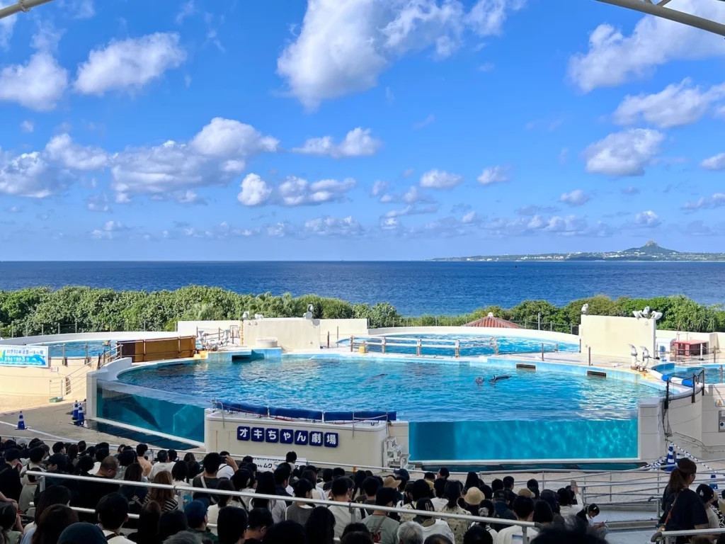 沖繩美麗海水族館 海豚劇場