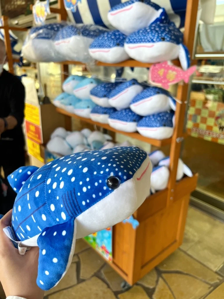 沖繩美麗海水族館 鯨鯊抽獎