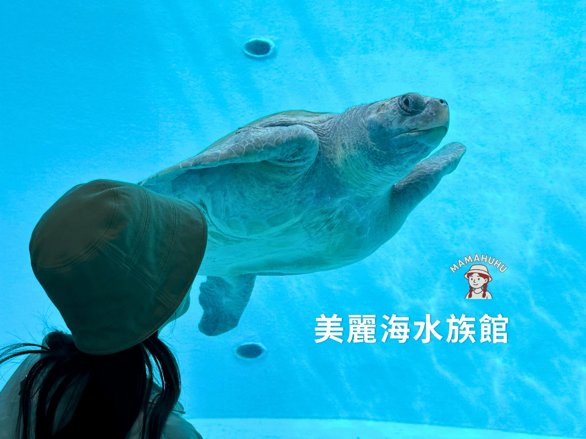 沖繩美麗海水族館