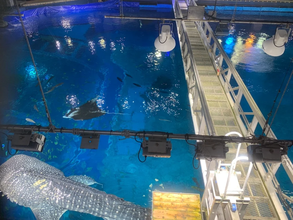 沖繩美麗海水族館 黑潮探險