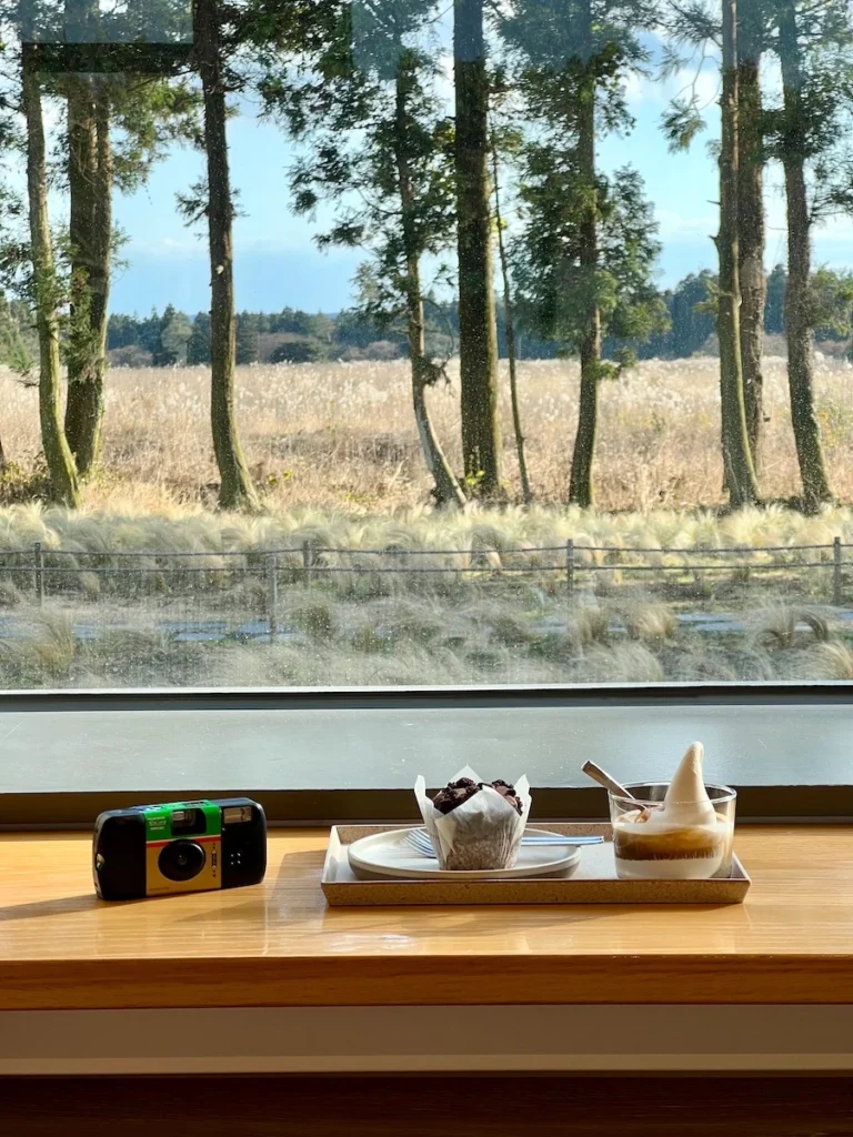 Blue Bottle Coffee Jeju 濟州島藍瓶咖啡