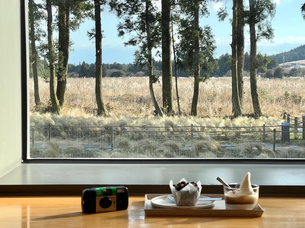 Blue Bottle Coffee Jeju 濟州島藍瓶咖啡 窗邊座位