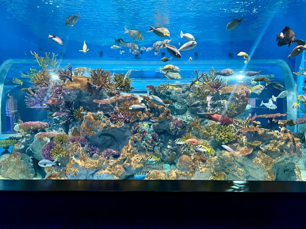 DMM Kariyushi 水族館 海底隧道
