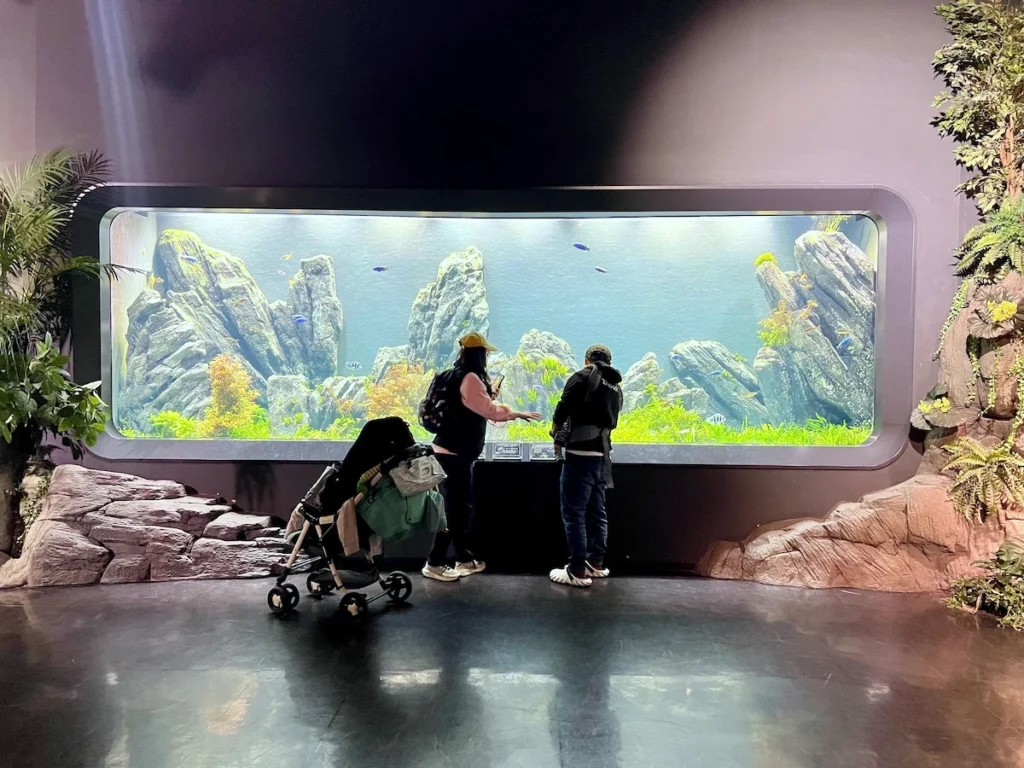 DMM Kariyushi 水族館