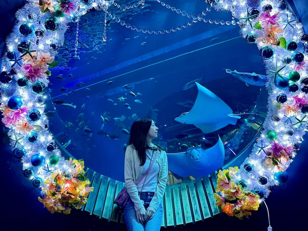 DMM Kariyushi 水族館 圓形觀景窗