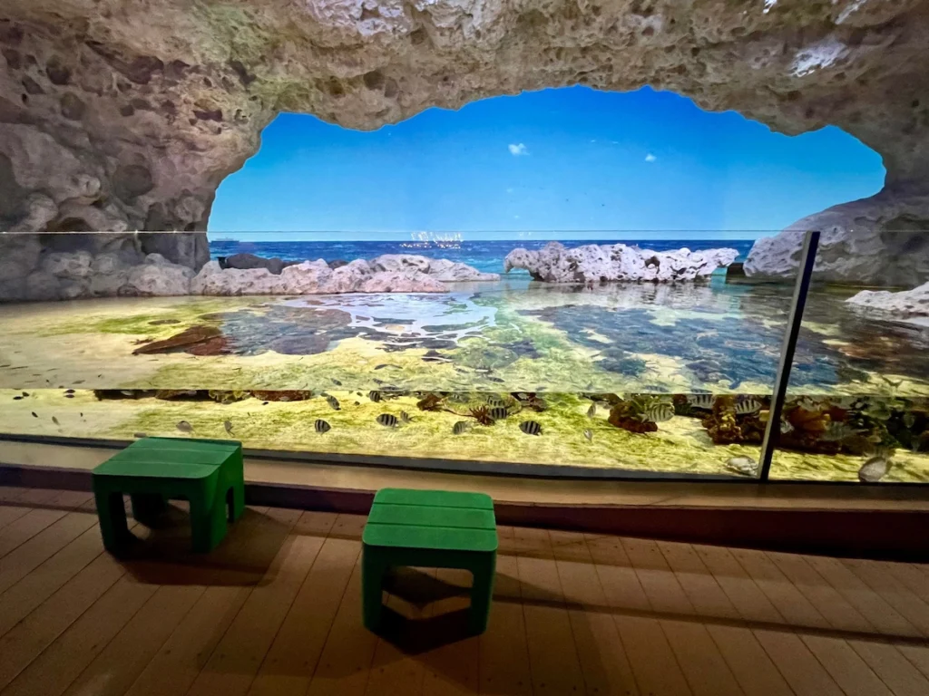 DMM Kariyushi 水族館