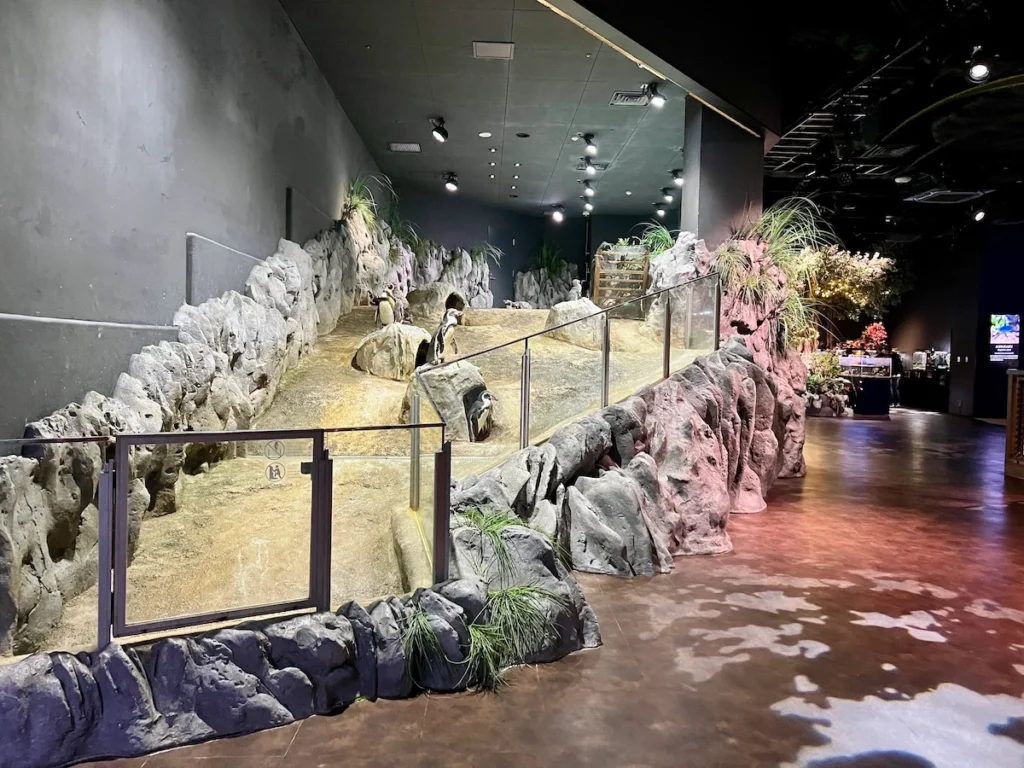 DMM Kariyushi 水族館企鵝區