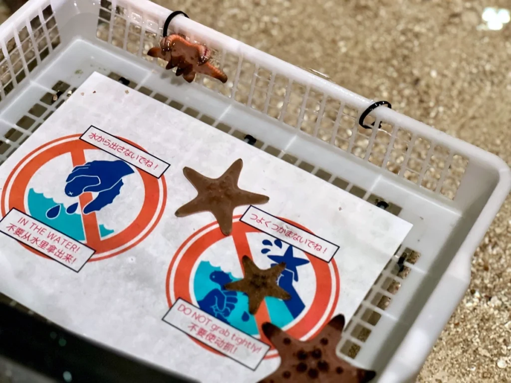 DMM Kariyushi 水族館海星