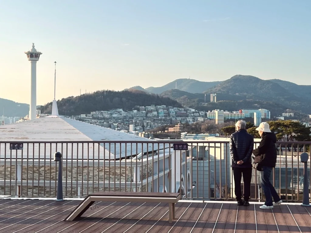 樂天百貨光復店展望台