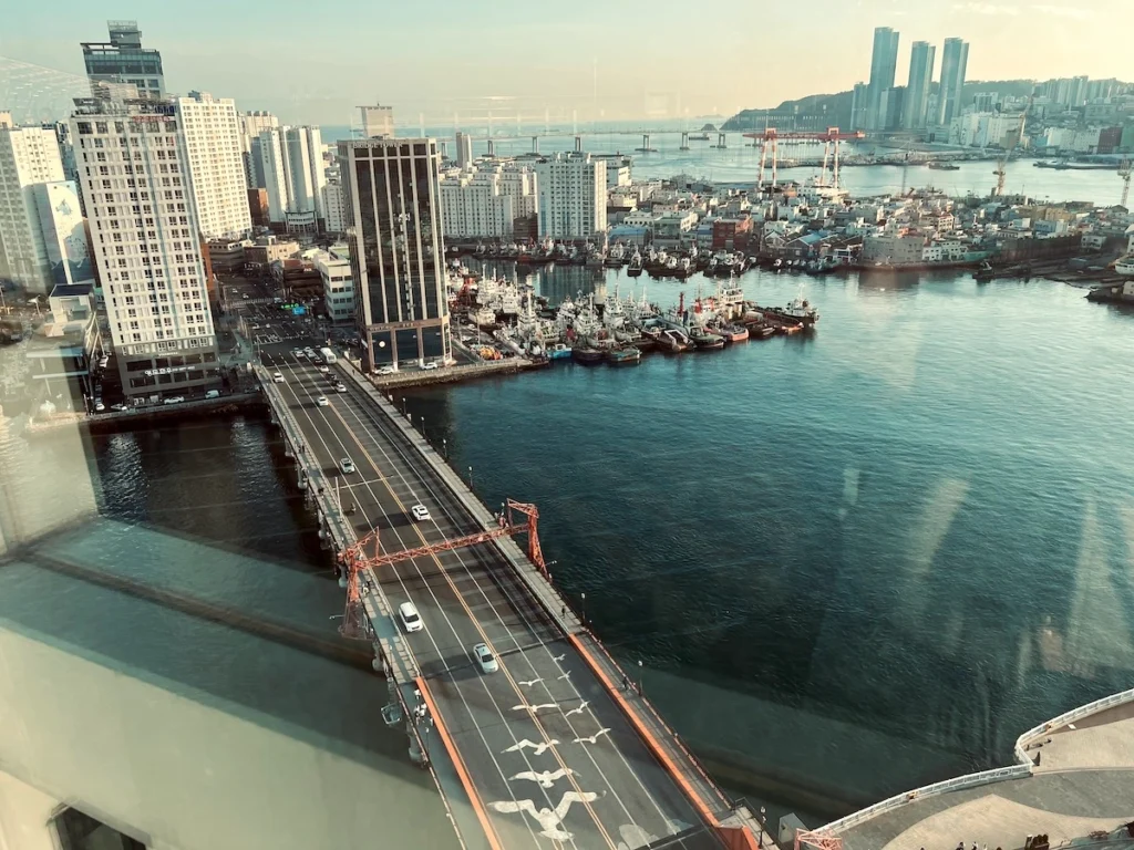 樂天百貨光復店展望台看影島大橋