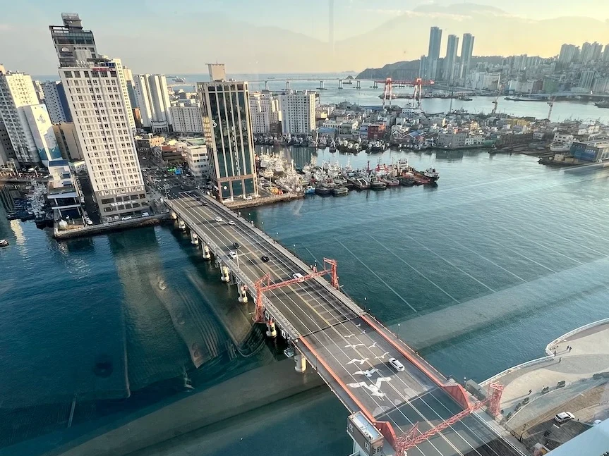 樂天百貨觀景台