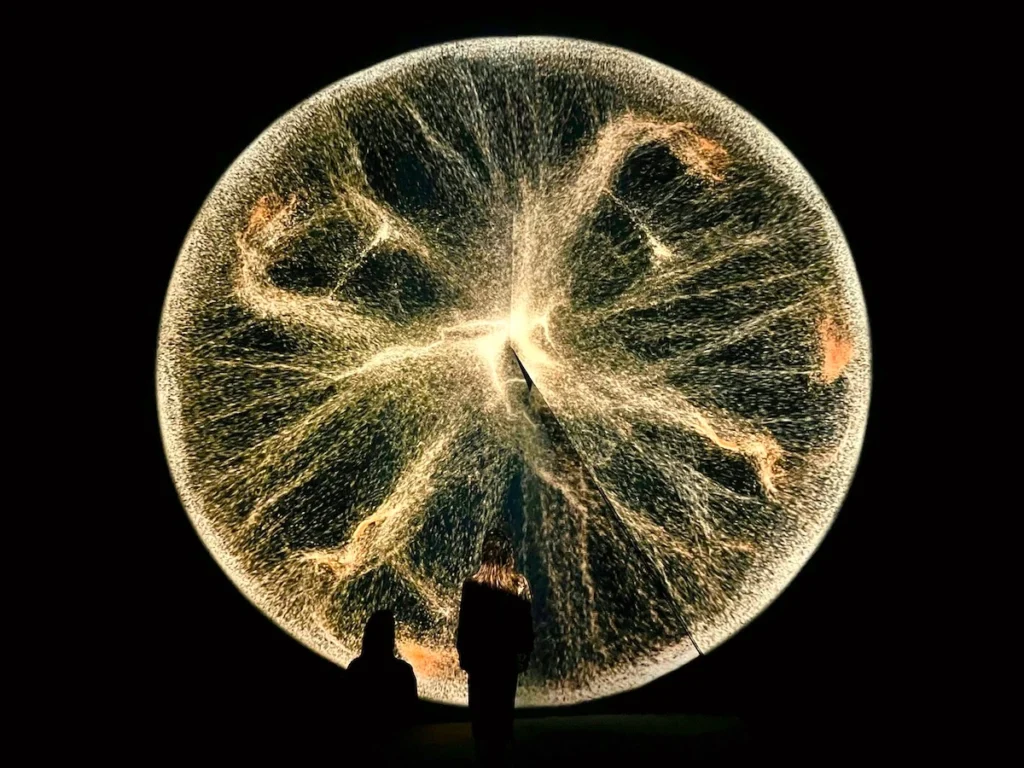 Arte Museum Busan Circle