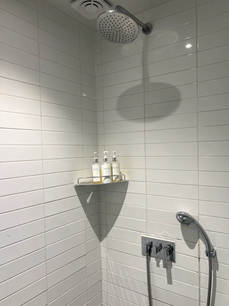 Browndot Haeundae 海雲台棕點飯店 淋浴間