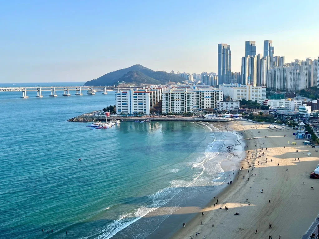 Cafe 181 頂樓風景