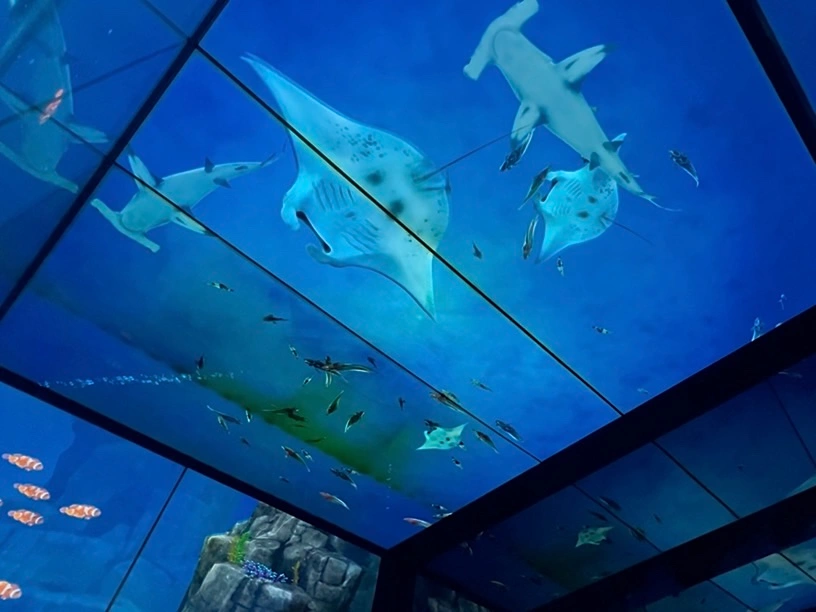 Busan X the Sky 觀景台電梯設計