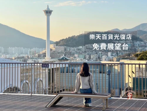 樂天百貨光復店展望台