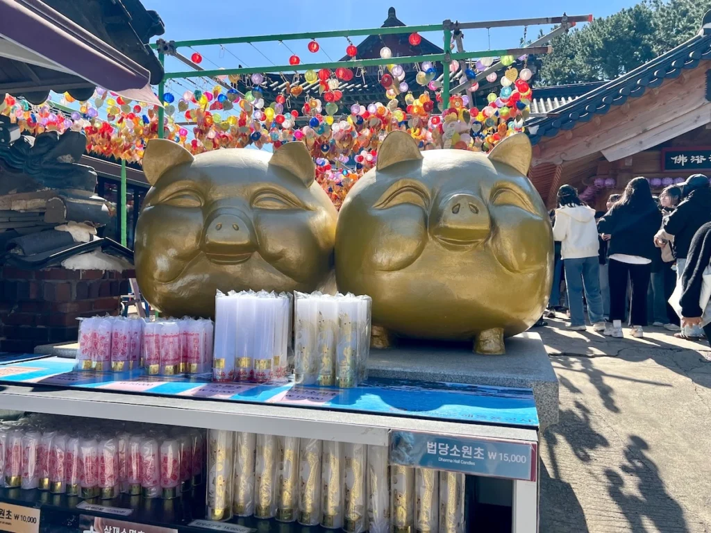 海東龍宮寺 金豬