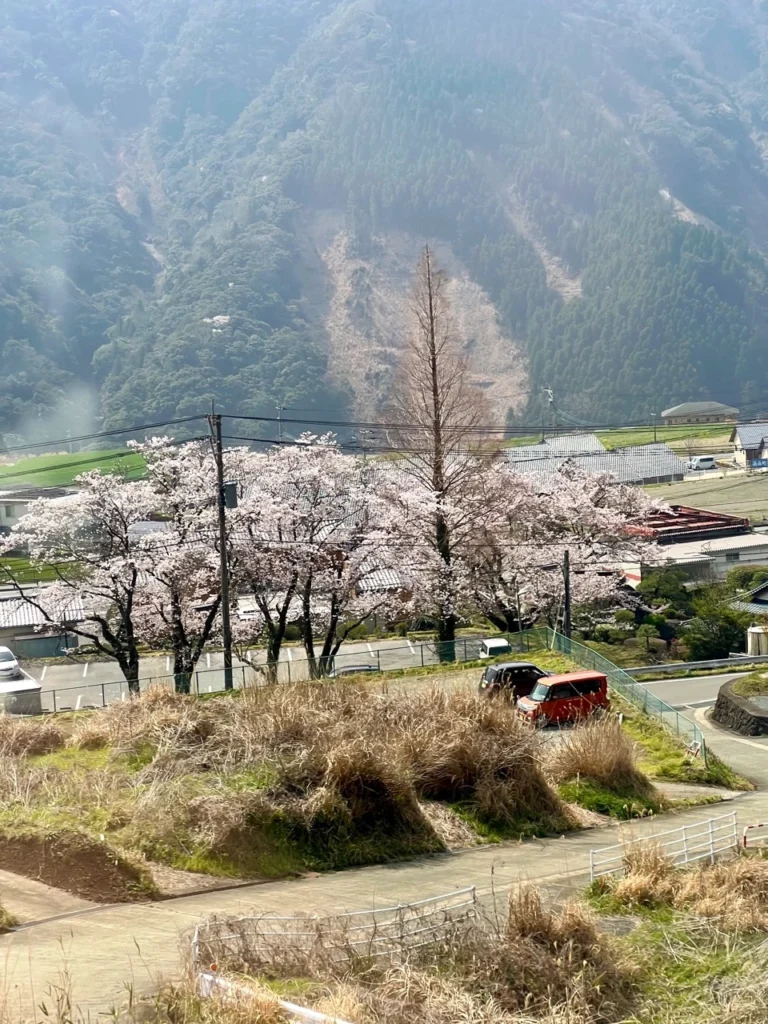 阿蘇男孩列車窗邊風景