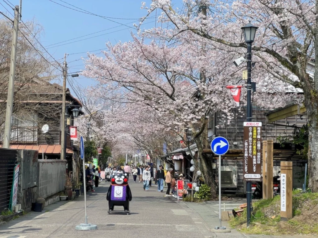 門前町商店街櫻花