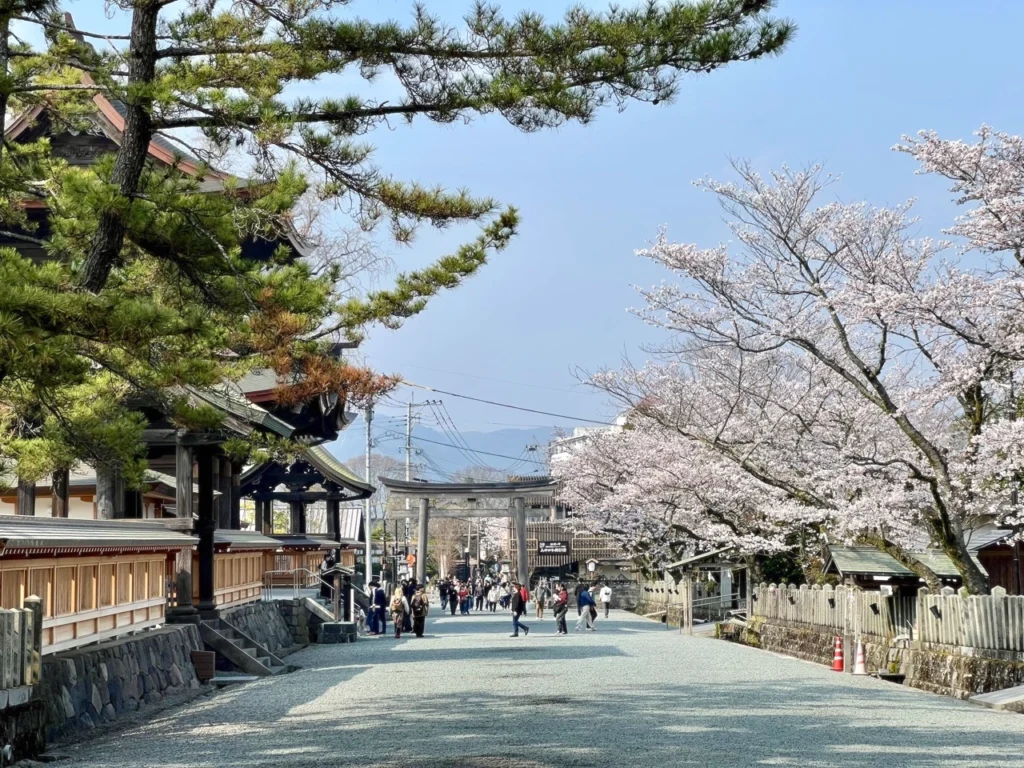 阿蘇神社賞櫻