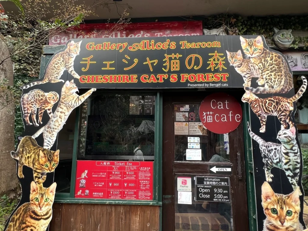 由布院貓咪咖啡廳
