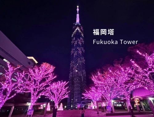 福岡塔 Fukuoka Tower
